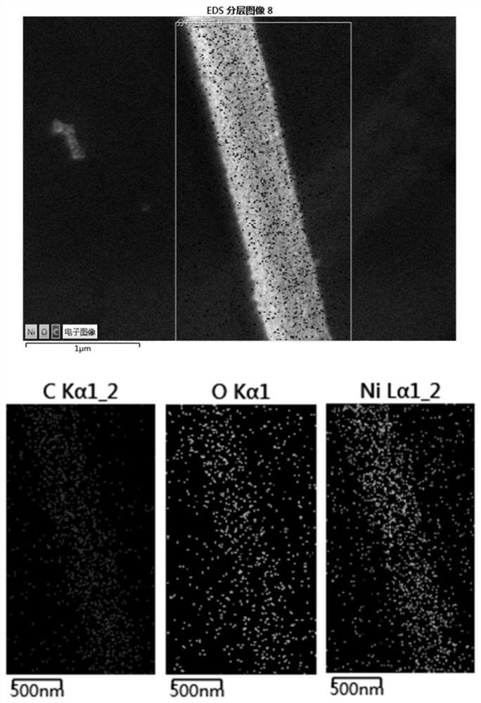 Ni-NiO/C core-shell structure nano material electrocatalyst and preparation method thereof