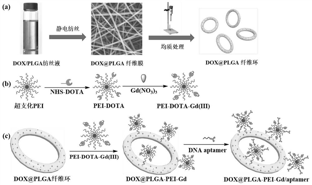A kind of drug-loaded fibrous ring and its preparation method and application
