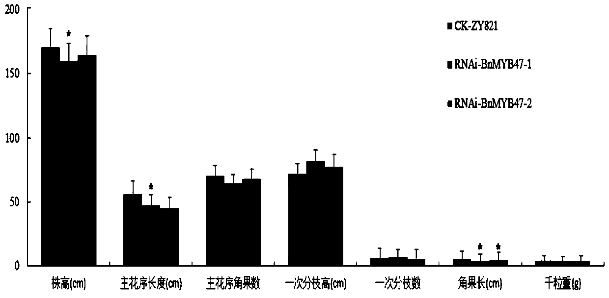 Transgenic expression vector for regulating seed color of brassica napus L., and construction method and application of transgenic expression vector