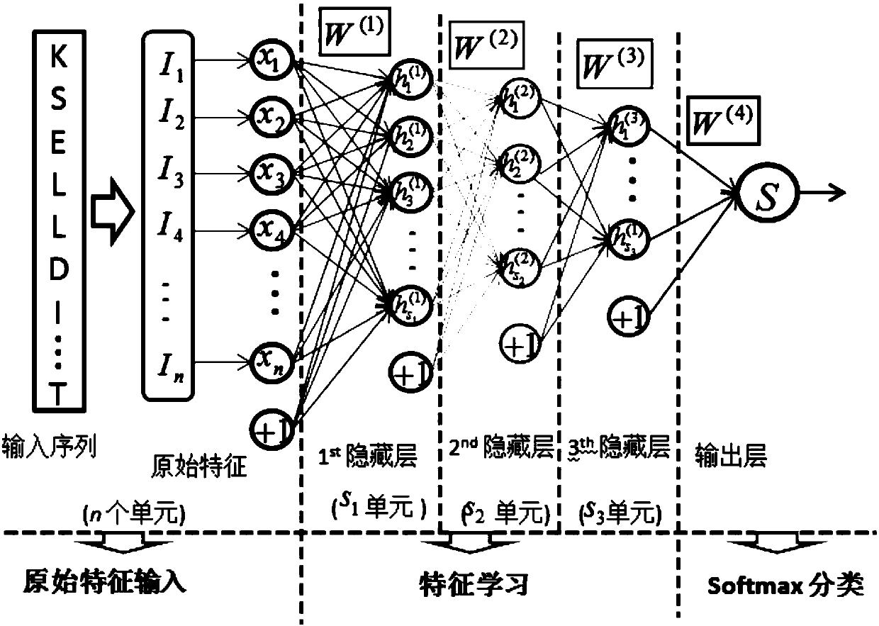 Prediction method and system of protein local structure characteristics