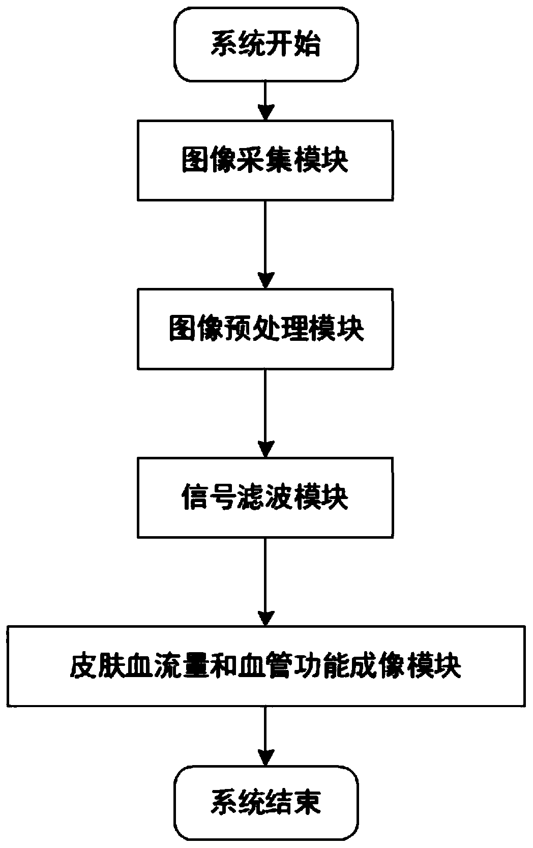 Monitoring imaging method and system for skin blood flow and blood vessels, and storage medium