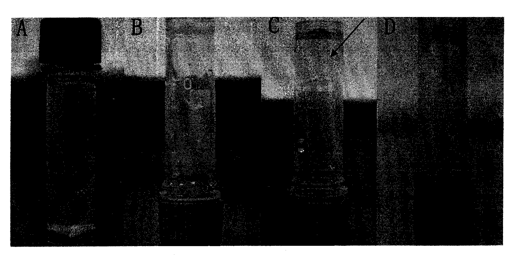 Connexin core sequence-containing amphiphilic polypeptide and application thereof