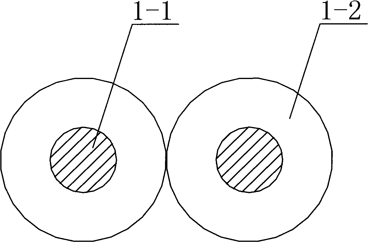 Bonding type network twisted pair and production method and production equipment thereof