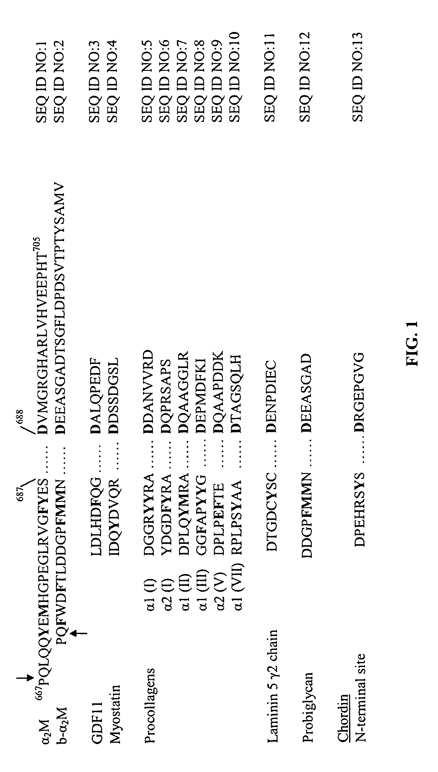 Composition for treating a fibrotic disorder comprising an inhibitor of a BMP-1-like protein