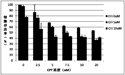 Application of oridonin combined with cryptotanshinone in the preparation of drugs for treating leukemia