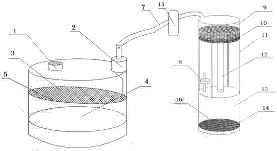 Apparatus and method for culturing and separating aspergillus niger-spores and preparing suspension