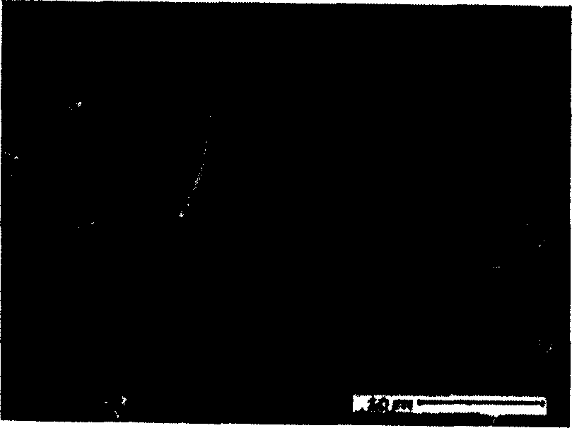 Method for preparing superfine salicylic acid by adding polyhydroxy alcohol organic compounds