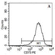 Method for culturing CD29&lt;+&gt; human umbilical cord mesenchymal stem cells for alleviating skeletal muscle atrophy in high glucose and lysophosphatidylcholine environment