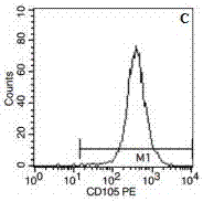 Method for culturing CD29&lt;+&gt; human umbilical cord mesenchymal stem cells for alleviating skeletal muscle atrophy in high glucose and lysophosphatidylcholine environment