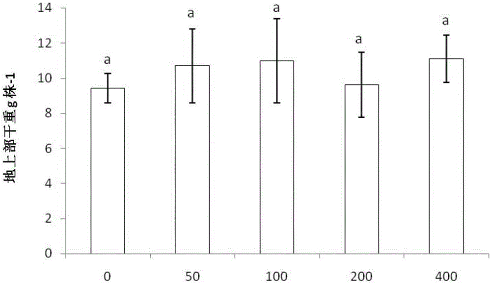 Application of nahs as a foliar conditioner for preventing and controlling cadmium accumulation in rice