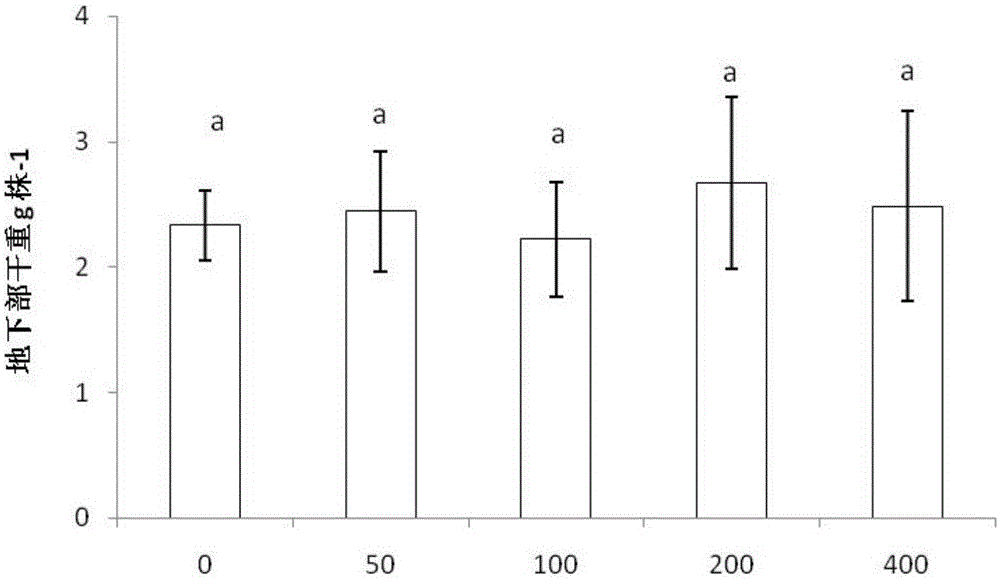 Application of nahs as a foliar conditioner for preventing and controlling cadmium accumulation in rice