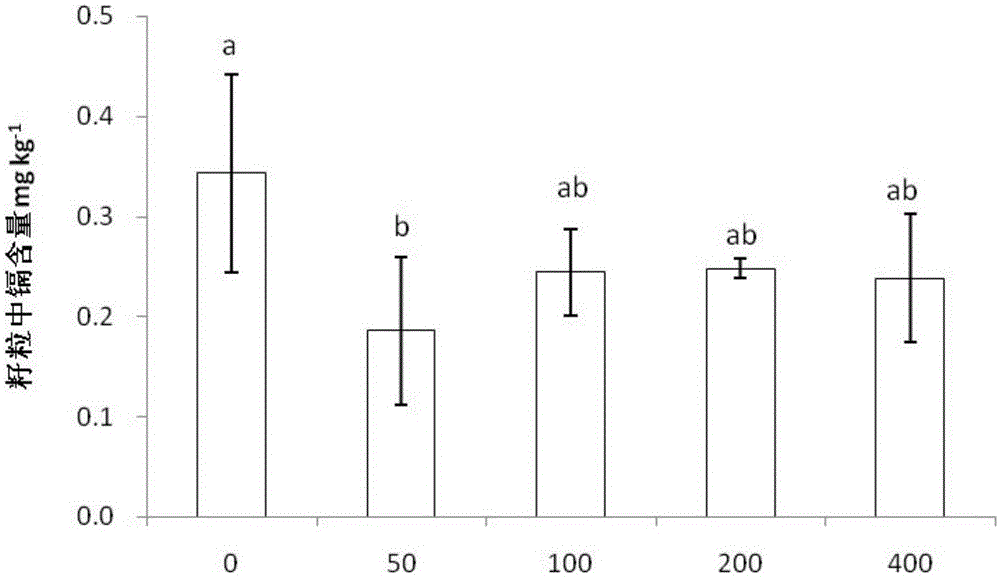 Application of nahs as a foliar conditioner for preventing and controlling cadmium accumulation in rice