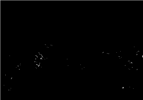 Method for preparing beta-Ni(OH)2 flower-like microsphere