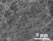 Ala-pdt photorejuvenating facial mask and preparation method thereof