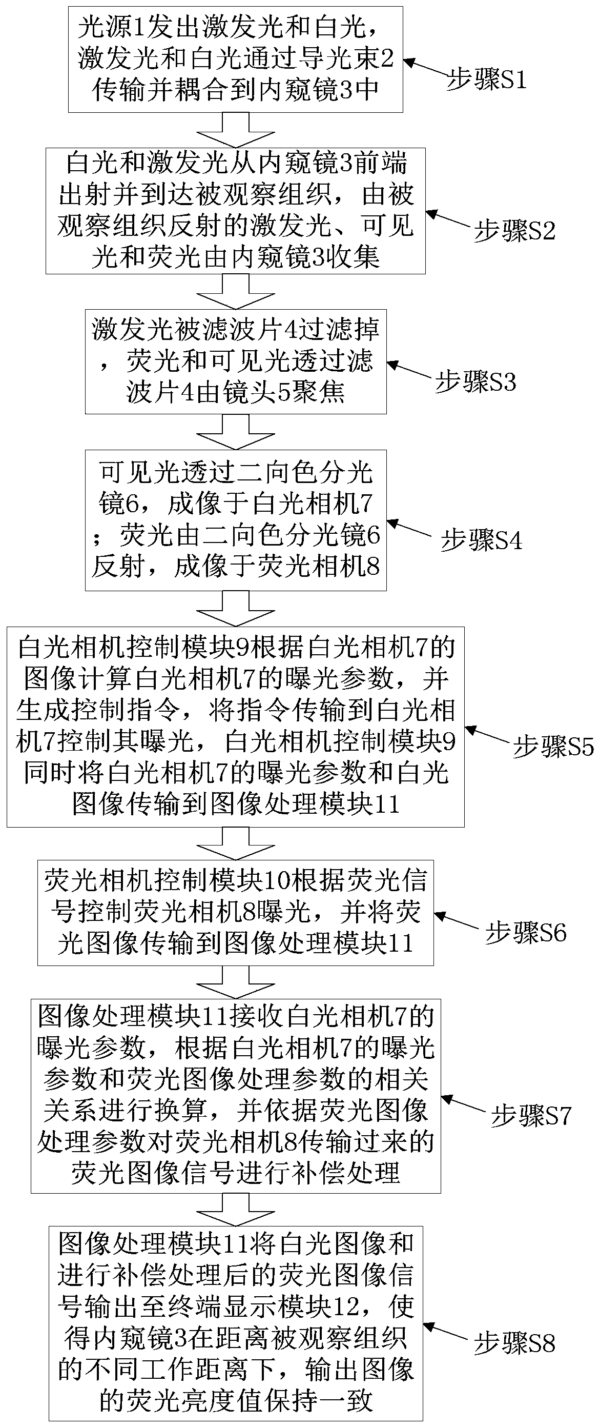Exposure feedback type fluorescent navigation endoscope system and image processing and self-adjusting method