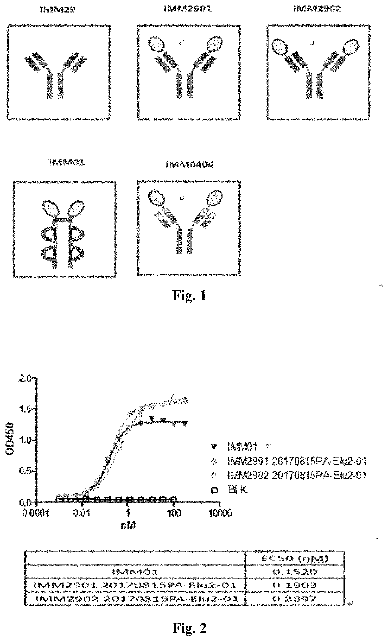 Recombinant bifunctional protein targeting cd47 and her2