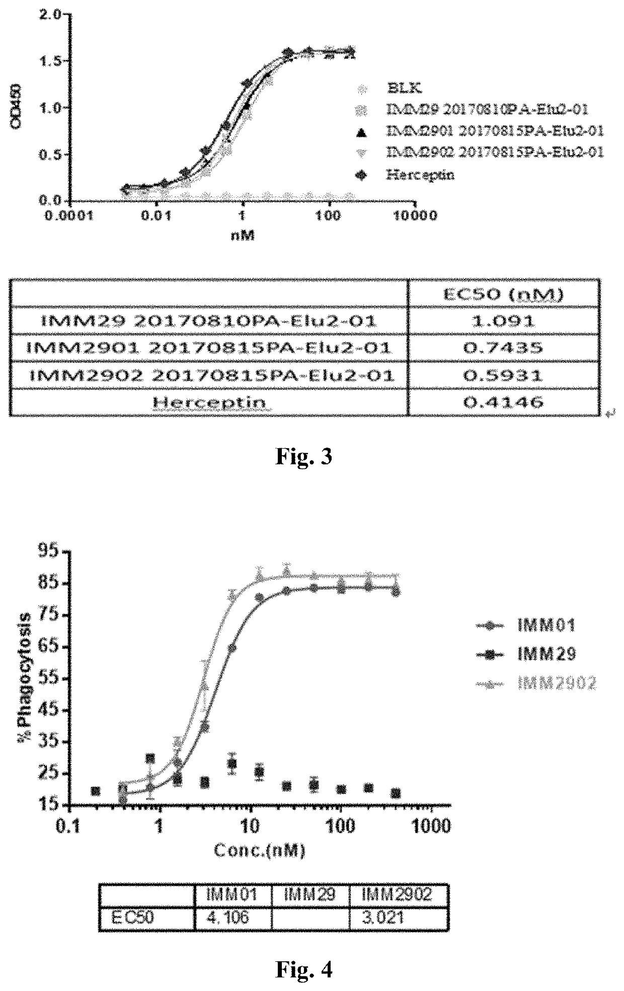 Recombinant bifunctional protein targeting cd47 and her2