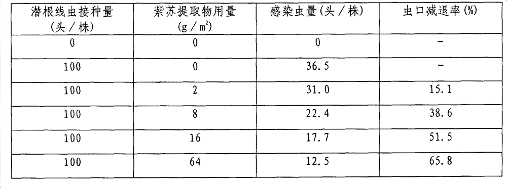 Method of mitigating harm of Hirschmanniella to paddy rice by using extract product of Perilla frutescens (L.) Britt