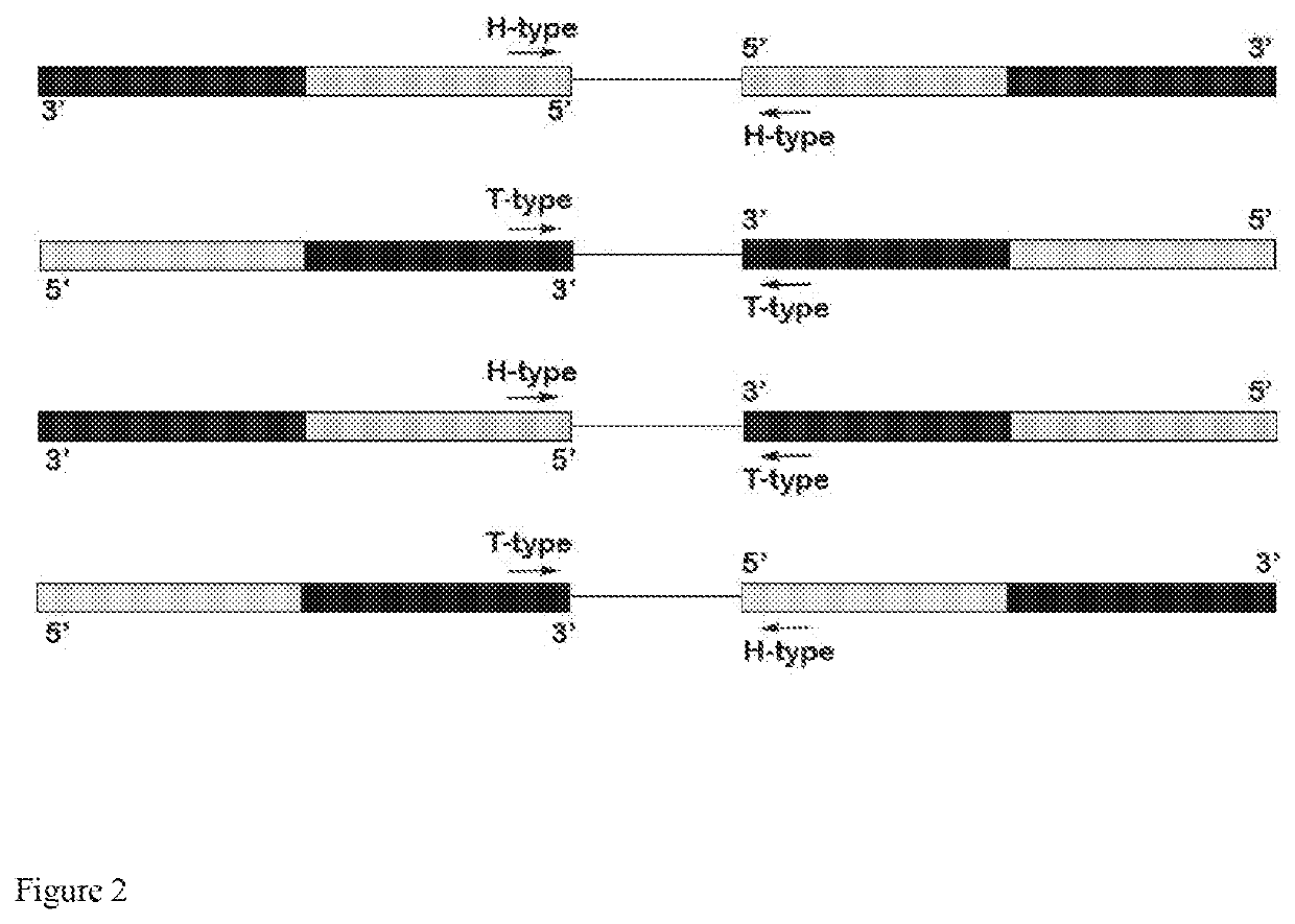 Genome-wide capture of inter-transposable element segments for genomic sequence analysis of human DNA samples with microbial contamination