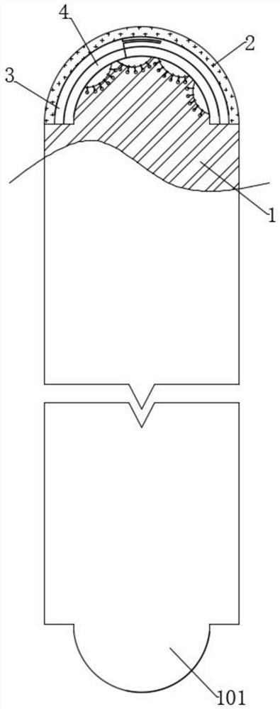 A pet handle-free door panel with a petal-type bite-sealing structure