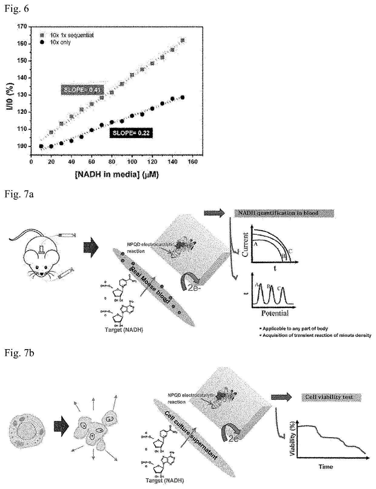 Electrode for biosensor for nadh measurement and manufacturing method therefor