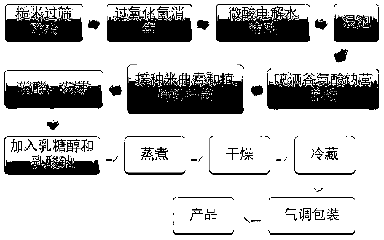 Production method of instant fermented steamed brown rice