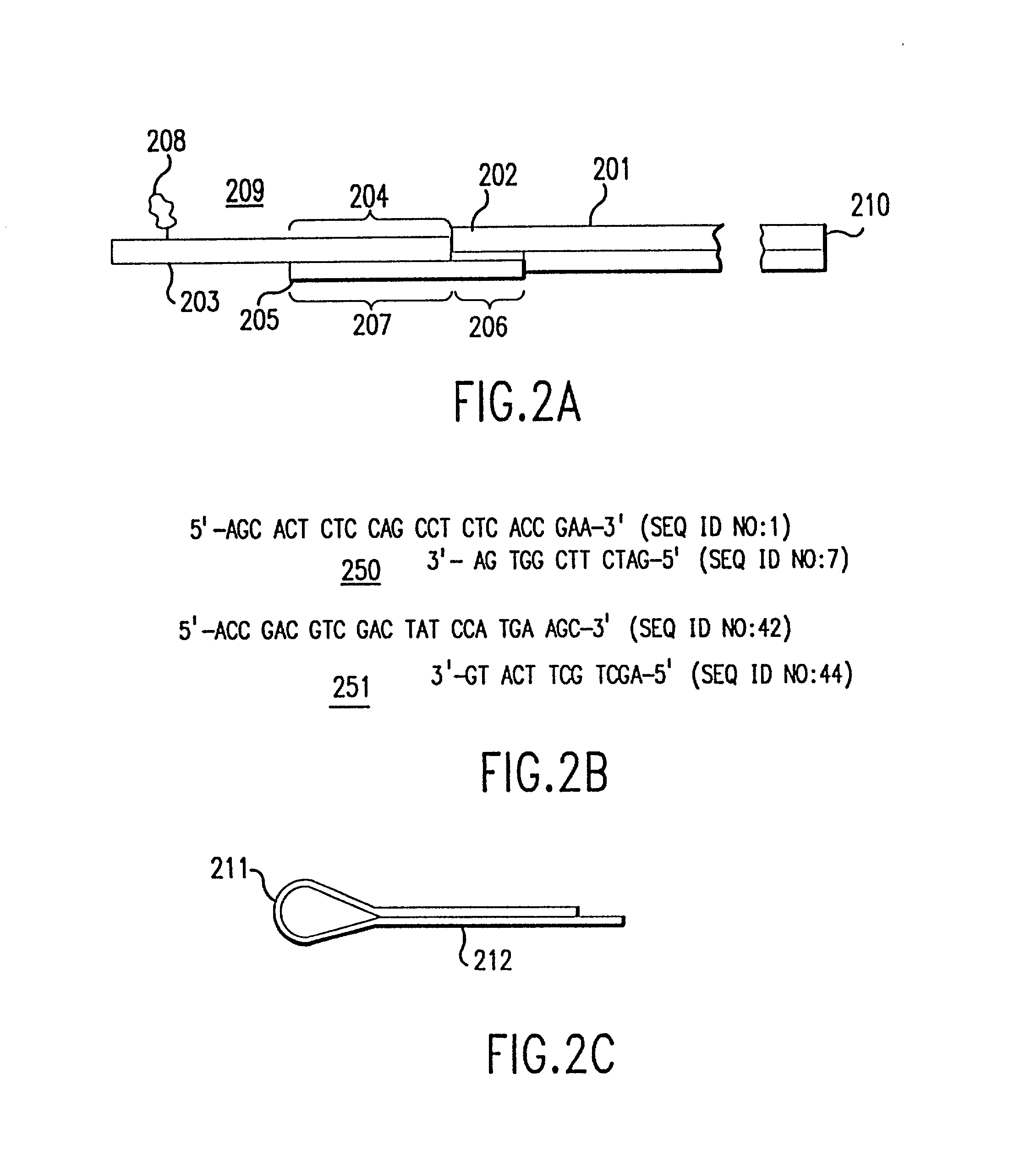 Method and apparatus for identifying, classifying, or quantifying DNA sequences in a sample without sequencing