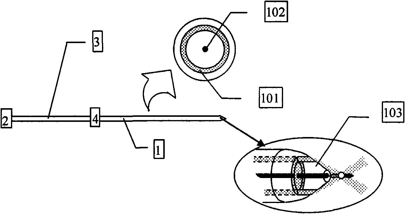 Throughput type fiber optical tweezers based on coaxial dual-waveguide structure and dynamic control method