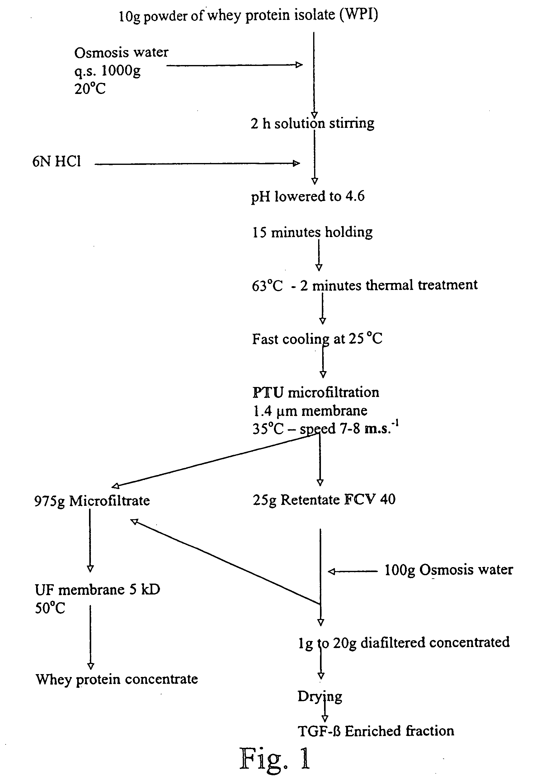 Method for obtaining a TGF-beta enriched protein fraction in activated form, protein fraction and therapeutic applications