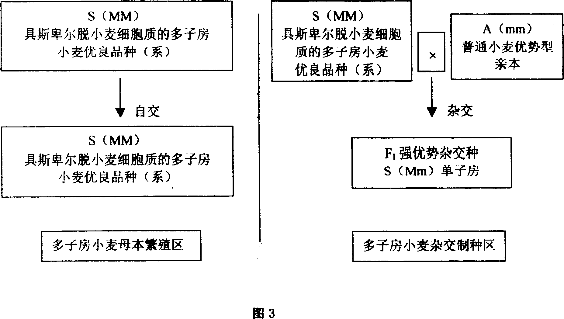 Method for increasing breeding benefit of wheat hybrid