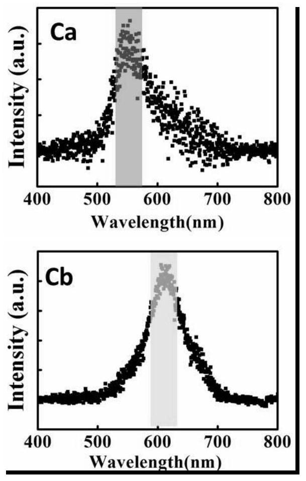 A functionalized gold nanoparticle and preparation method thereof, preparation method and application of gold nanoparticle dimer