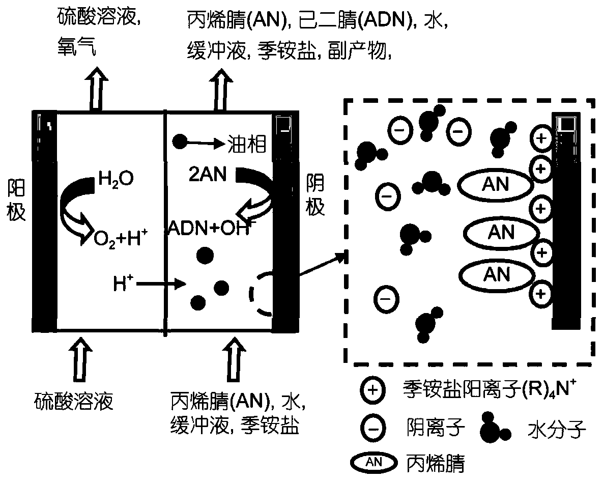 Method for producing adiponitrile through acrylonitrile electrolysis dimerization method