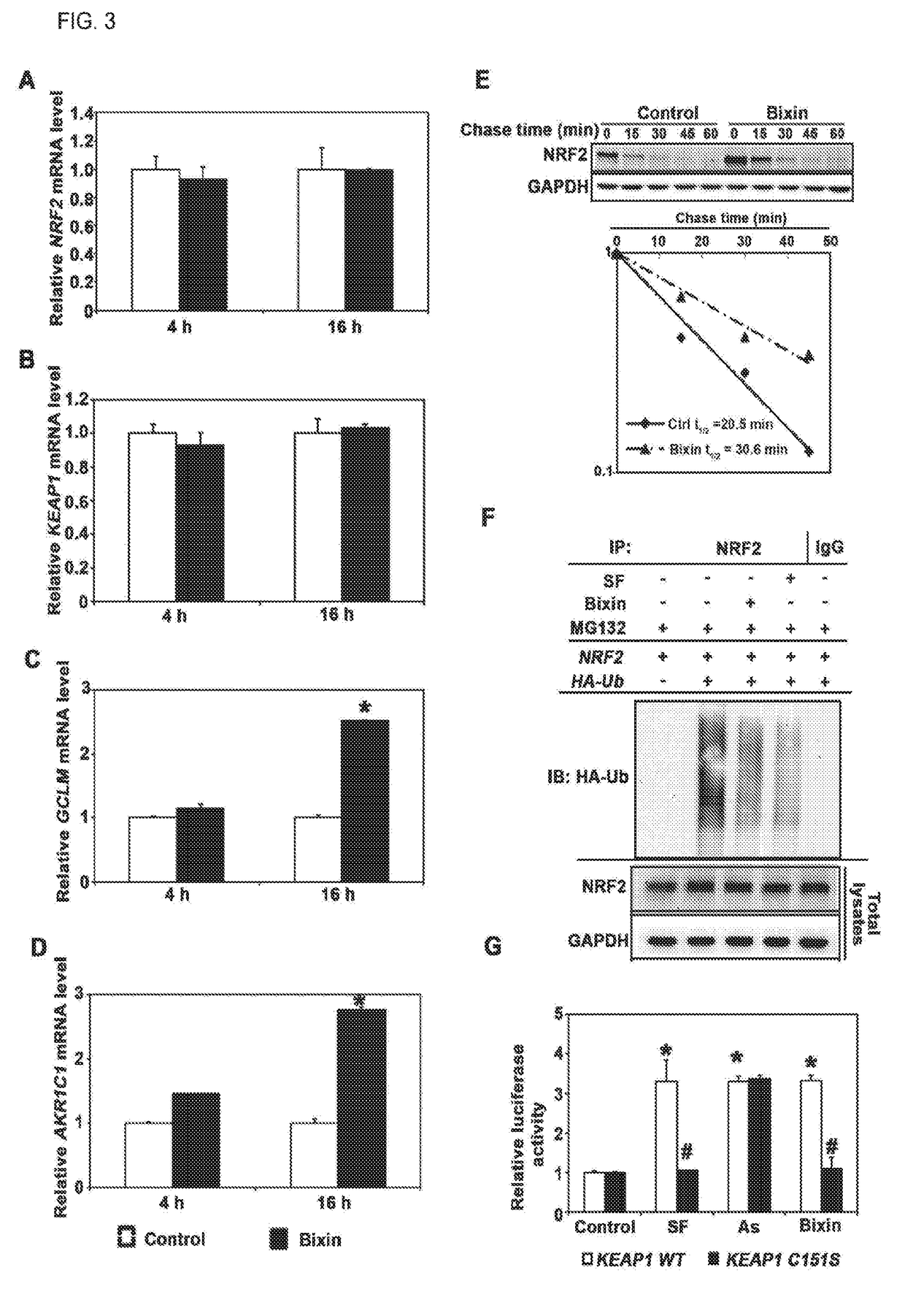 Activators of nrf2-dependent photoprotection and related uses thereof