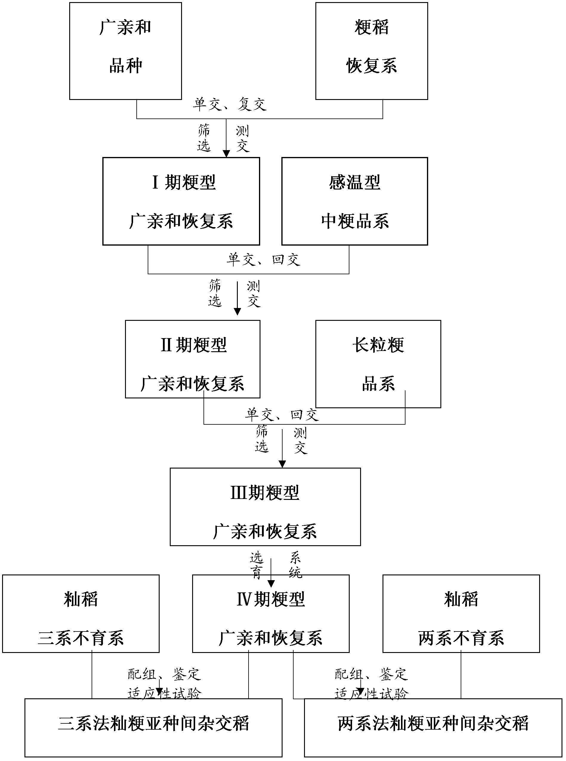 Method for breeding indica sterile line-japonica restorer line intersubspecific hybrid rice and application of method