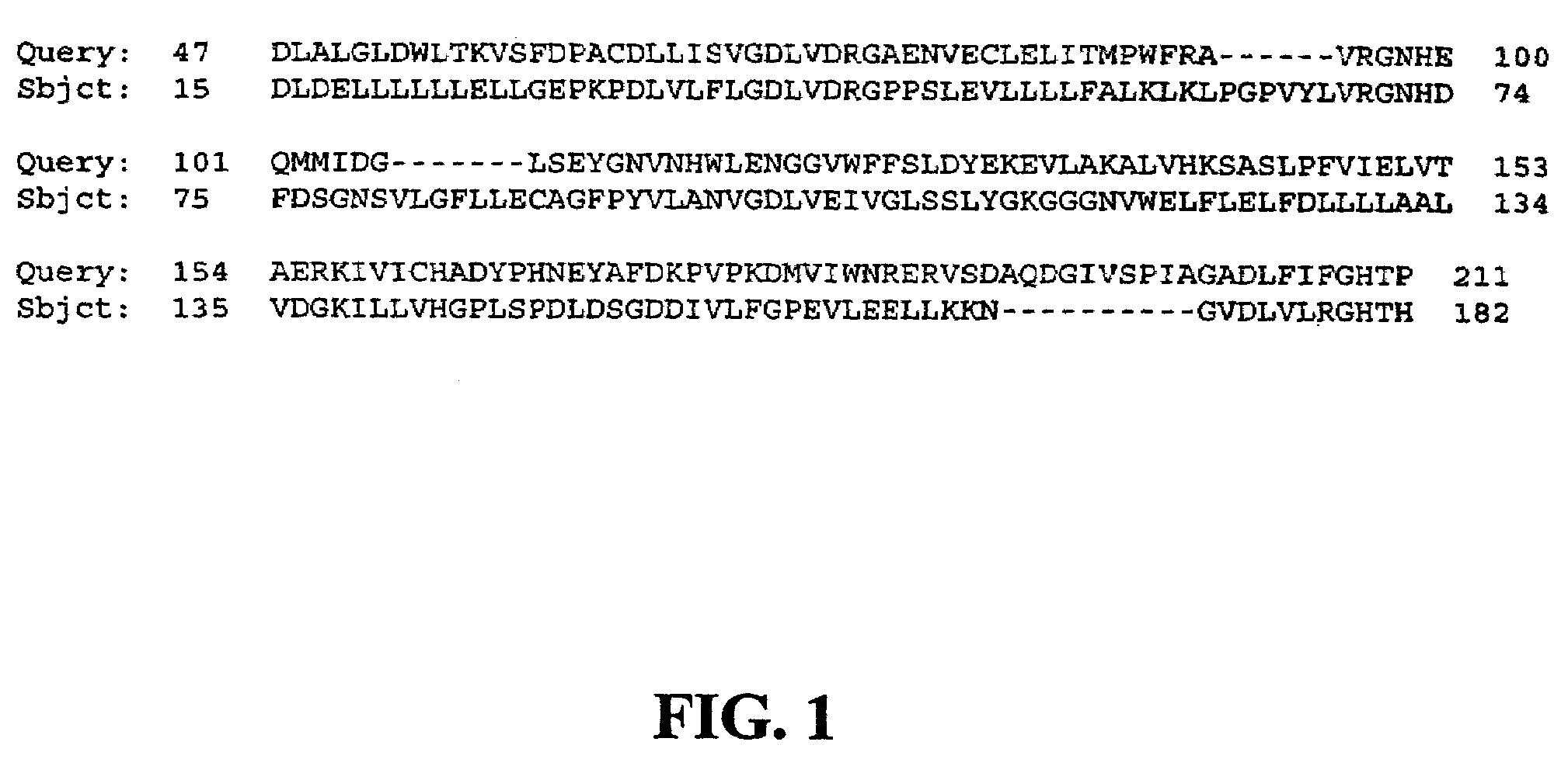 Compositions employing a novel human protein phosphatase