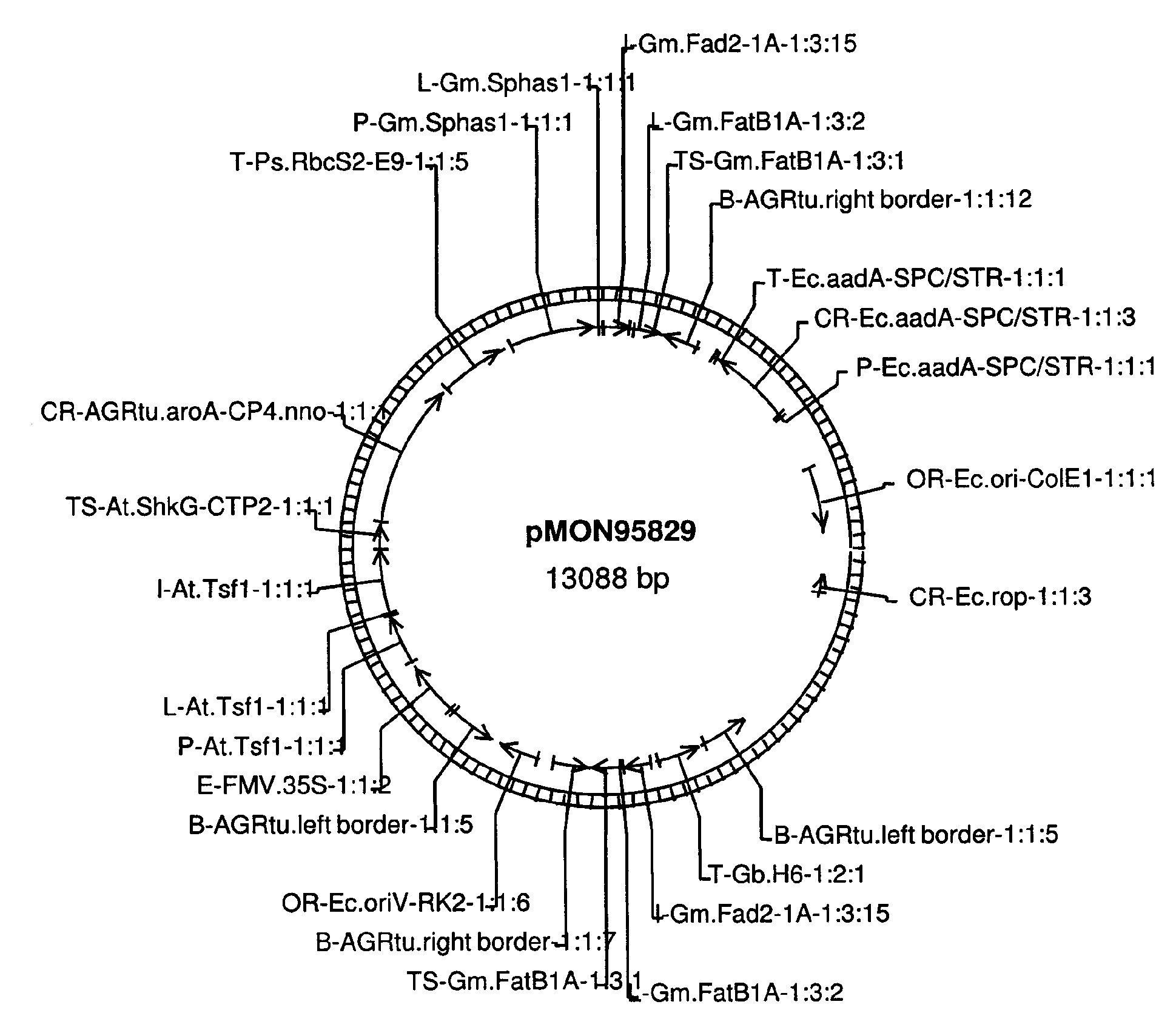 Soybean Transgenic Event MON87705 and Methods for Detection Thereof