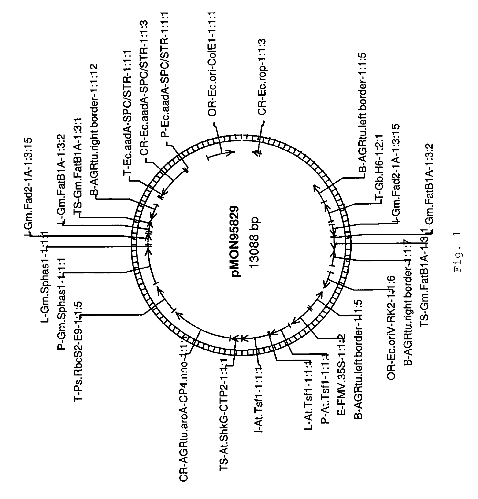 Soybean Transgenic Event MON87705 and Methods for Detection Thereof