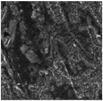 Method for detecting lithium extraction of negative electrode of lithium ion battery