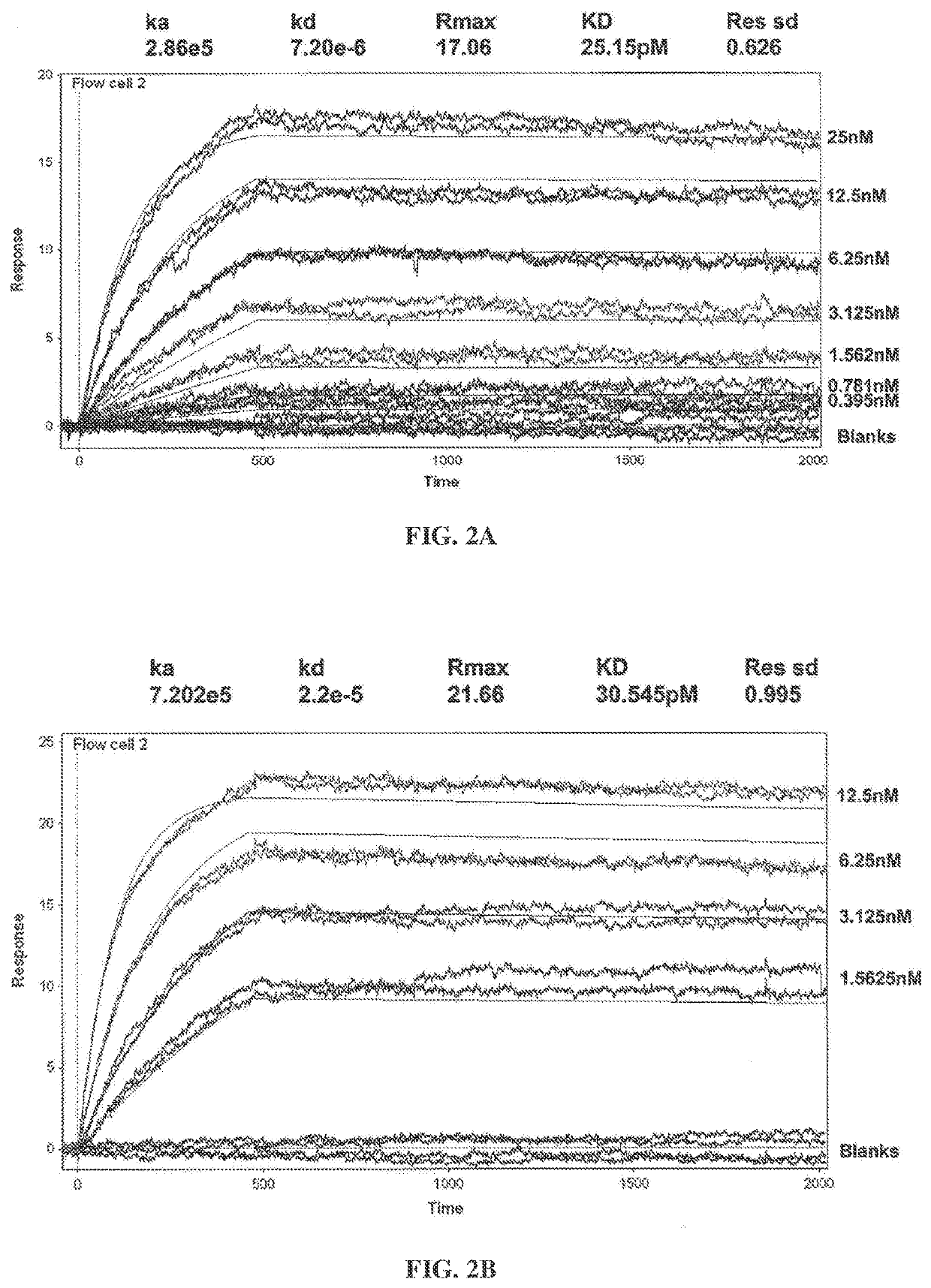 Methods of treating immunotherapy-related toxicity using a gm-csf antagonist