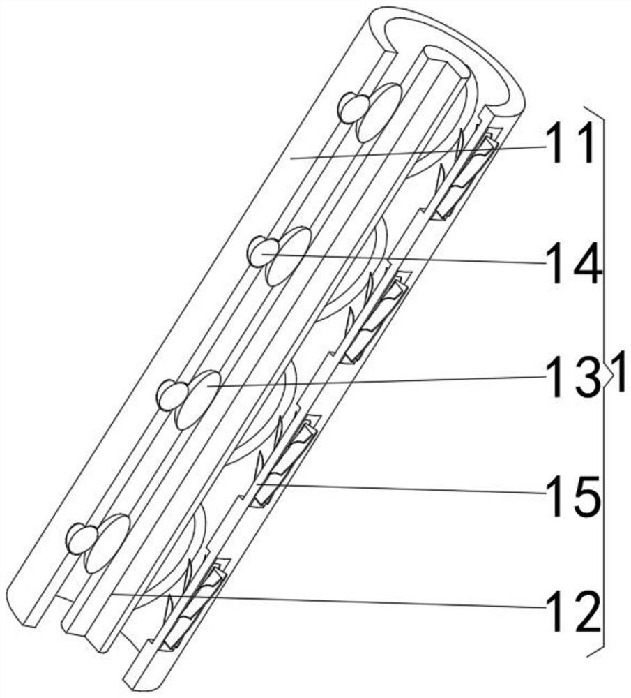 Dam maintenance ladder