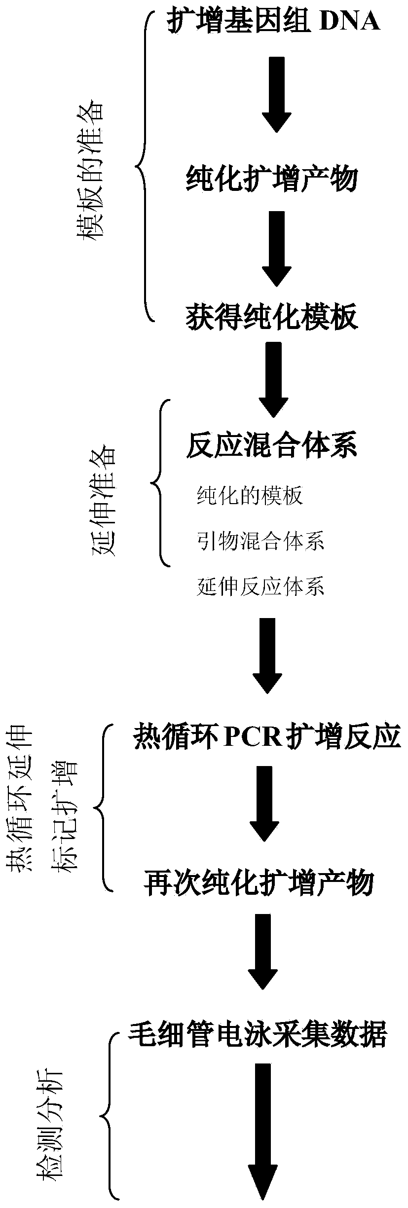 Chinese population deaf gene screening kit and application thereof