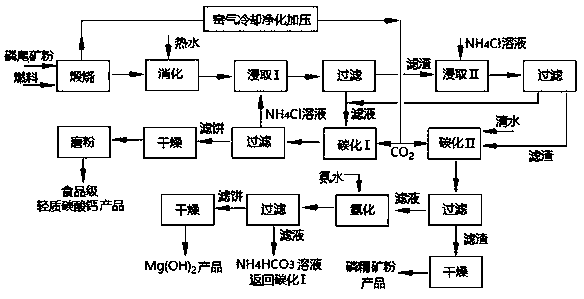 High-magnesium phosphate tailing enrichment and light calcium carbonate and magnesium hydroxide co-production method