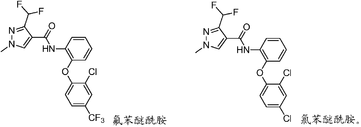 Sterilization composition containing Aminopyrifen and flubeneteram or 2'-[(2,4-dichlorophenyl)oxy]-3-(difluoromethyl)-1-methyl-1H-pyrazole-4-carboxanilide