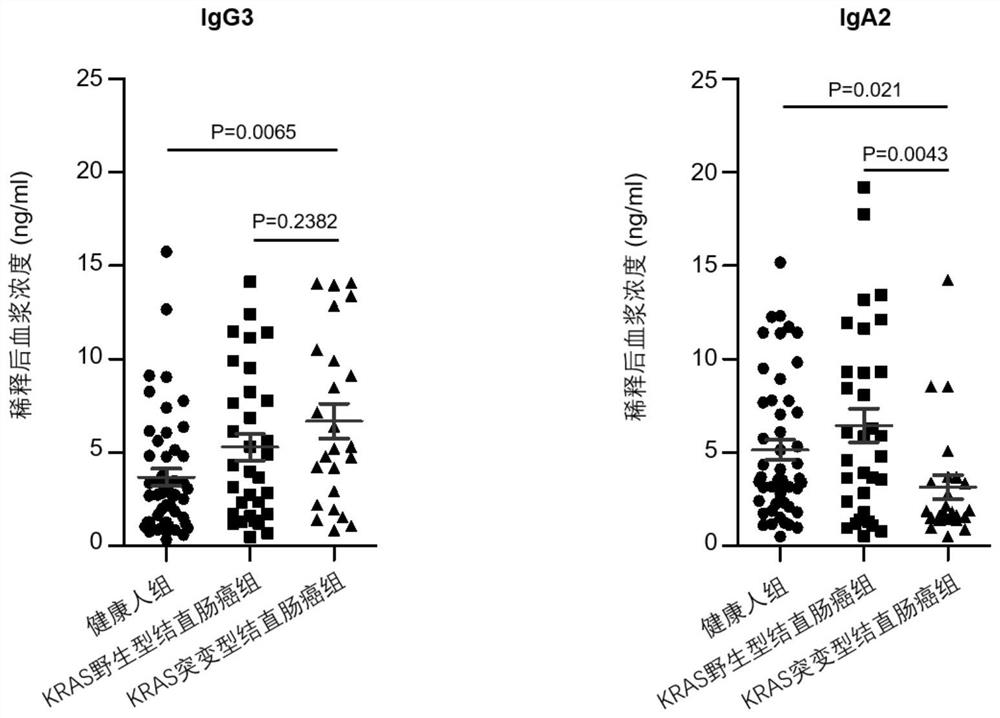 Application of IgA2 detection reagent in preparation of KRAS mutant colorectal cancer diagnostic agent