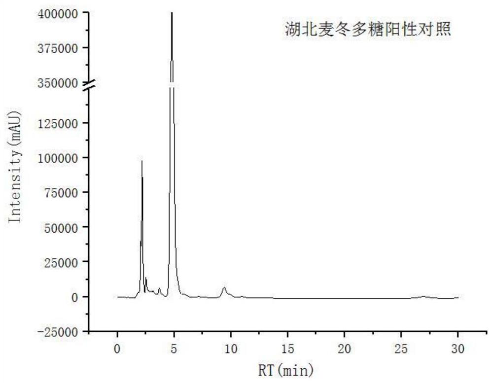 A kind of high-yield bacterial strain of Hubei Ophiopogon japonicus polysaccharide and its application