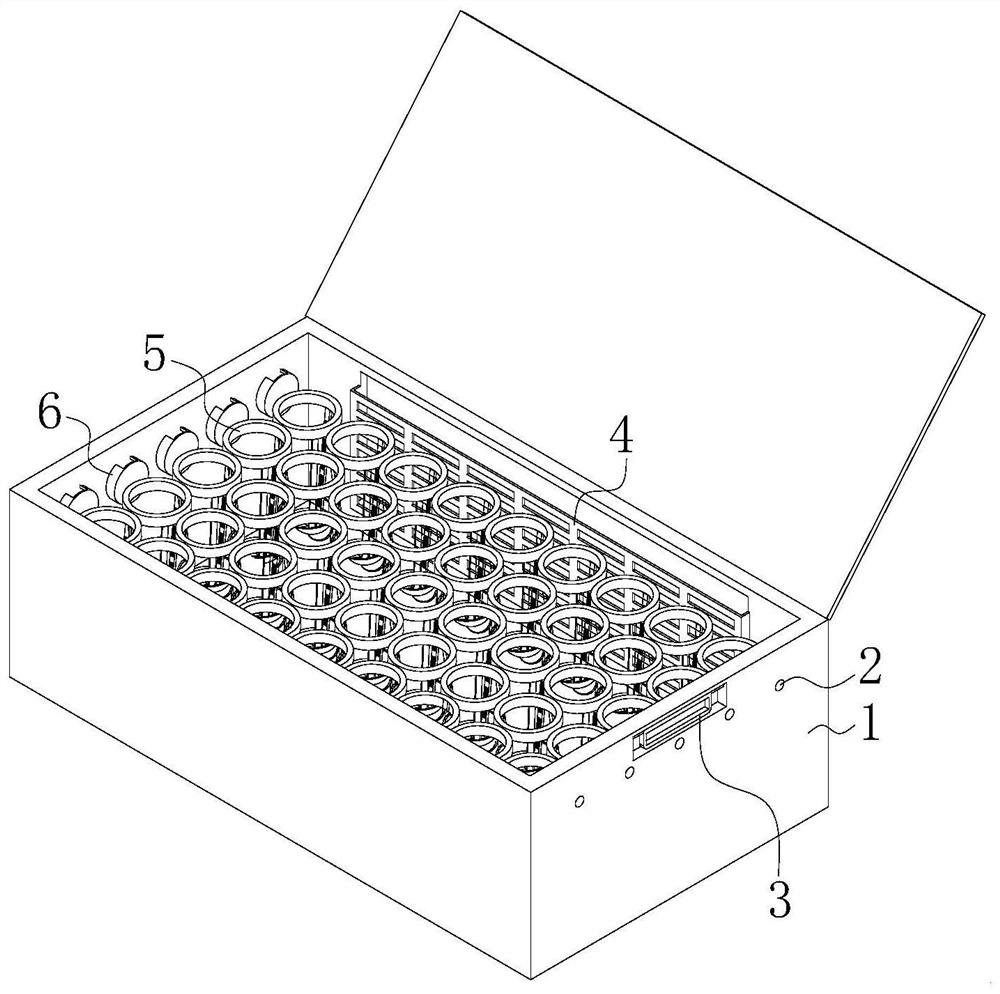 Special storage box for cold-chain transportation of fresh-cut gypsophila paniculata