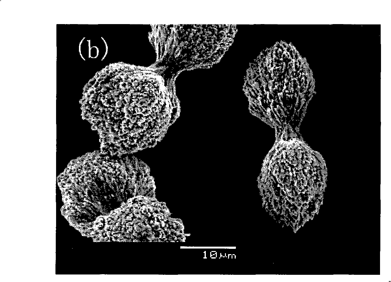 Dumb-bell-shaped ZnO micrometre material and method for preparing same