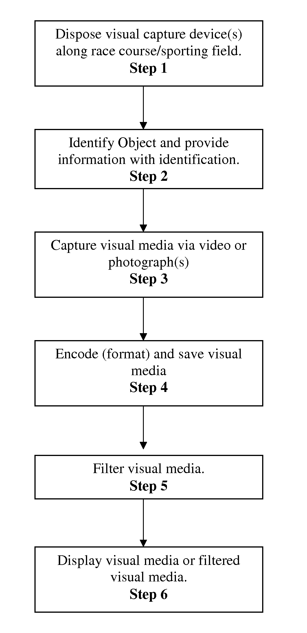 System and method for customized viewing of visual media