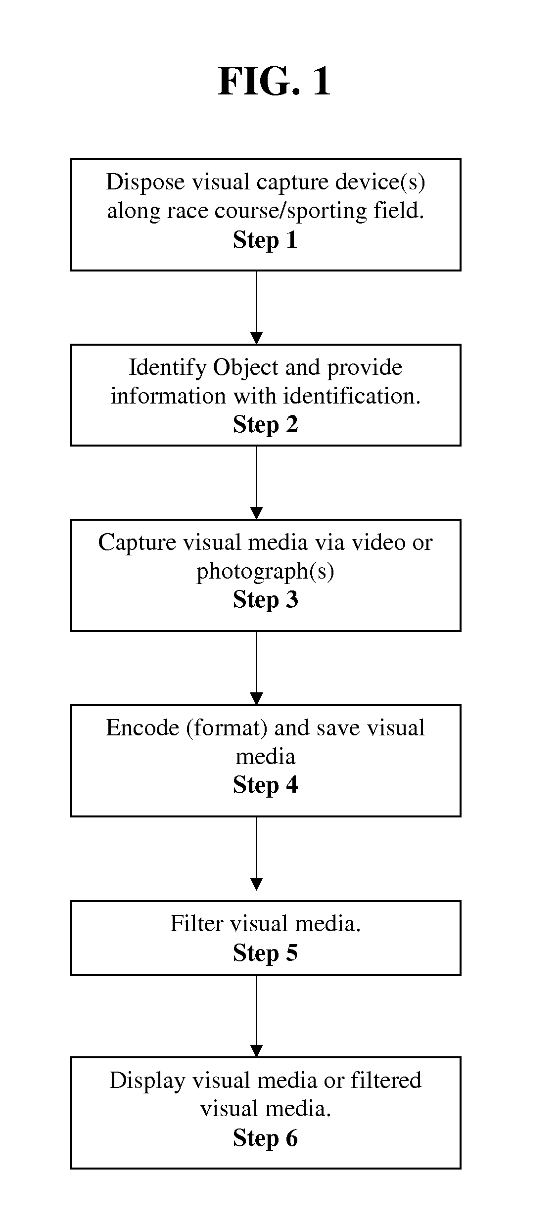 System and method for customized viewing of visual media