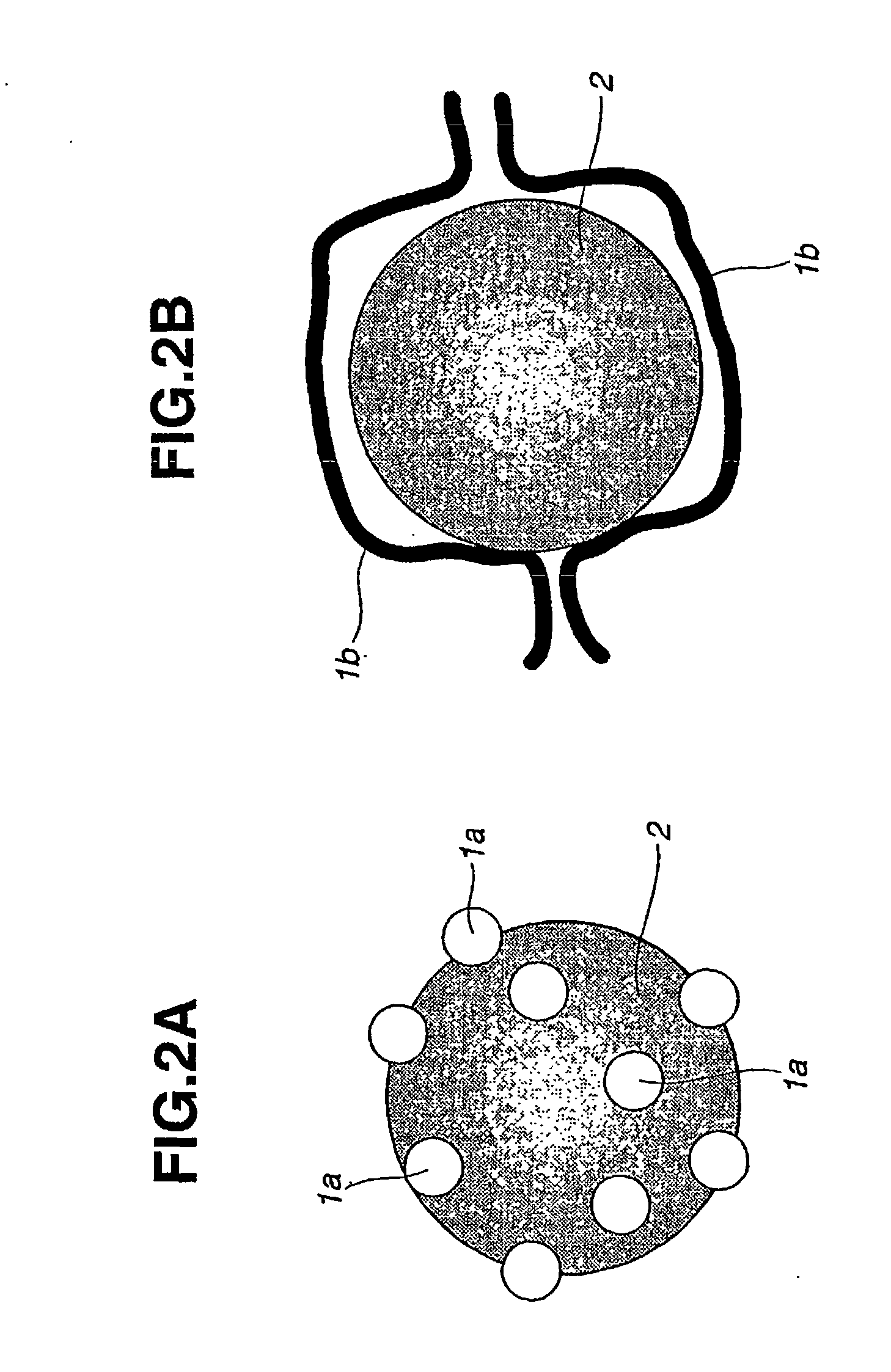 Exhaust gas purifying catalyst and method of producing same